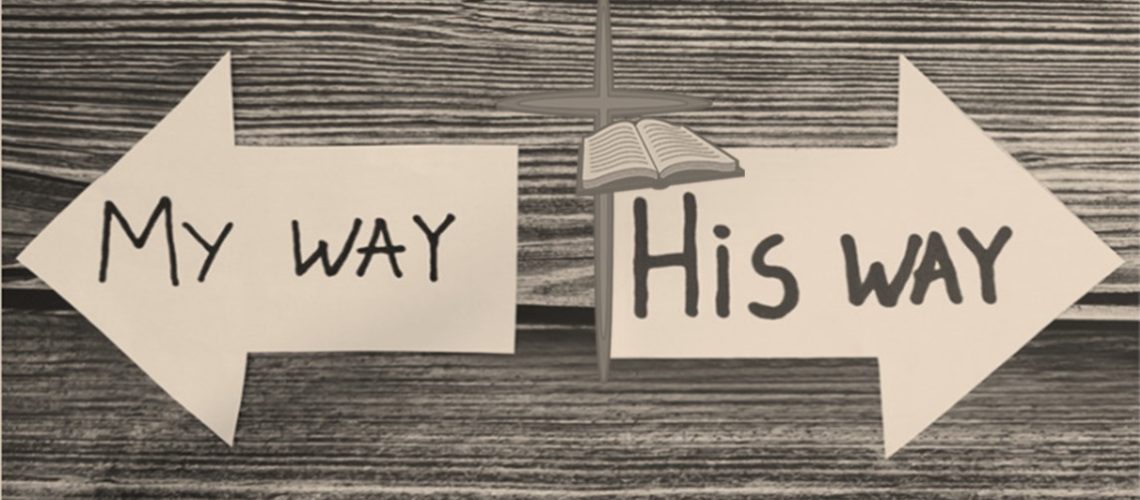 1_BARBRA'S_HisWay-MyWay br2