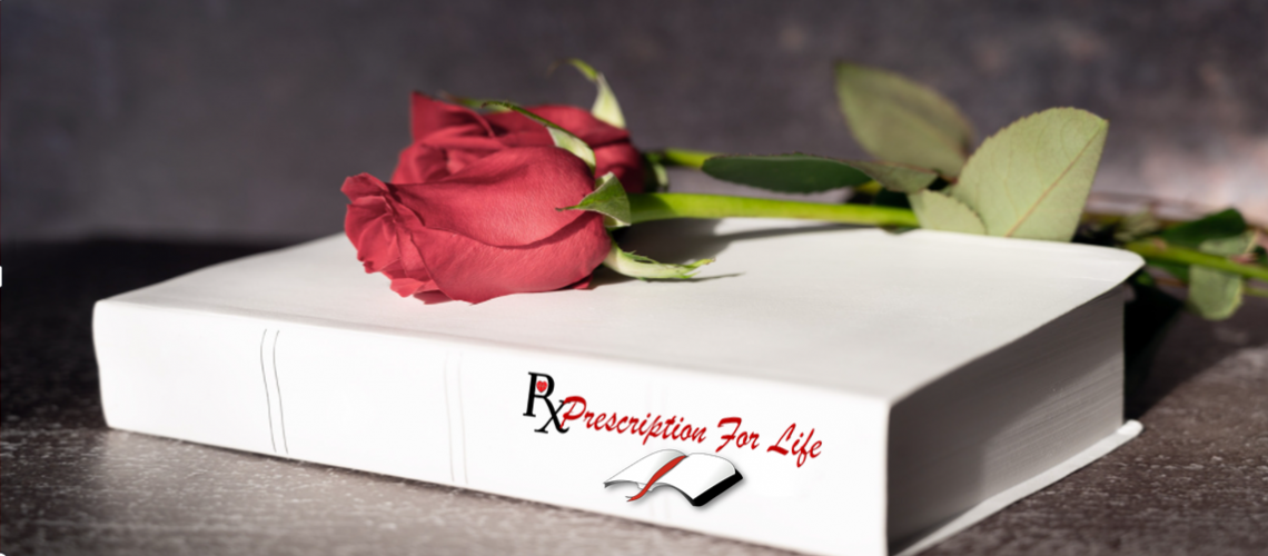~1_BARBRA'S_lovered