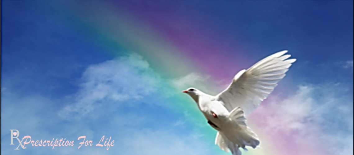 ~1_HB_PEACE