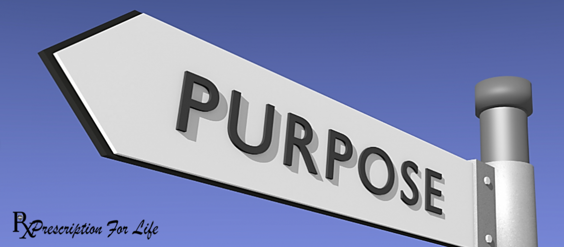 ~1_Purpose ~1_Purpose