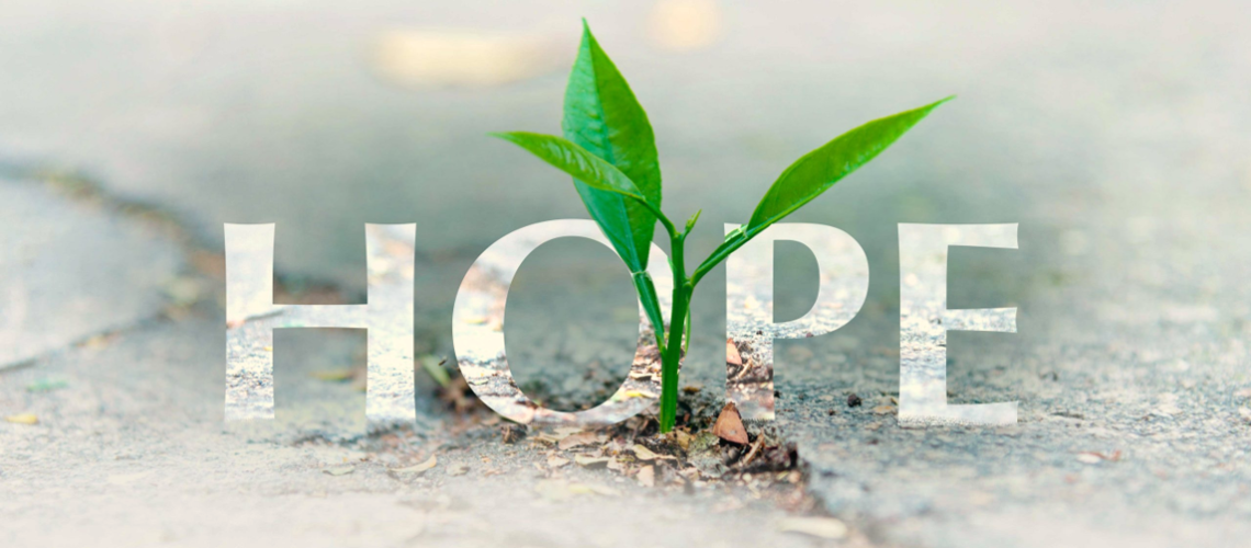 HOPE2