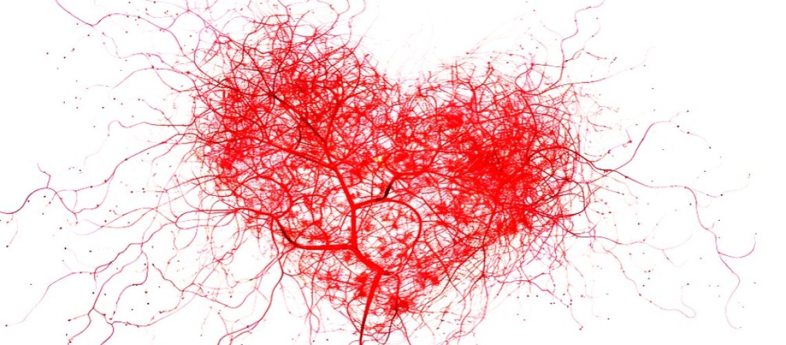 heart - -pathways
