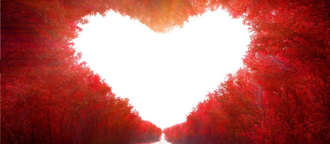 heart_shinning heart cover