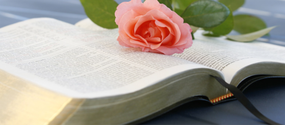 rose-bible