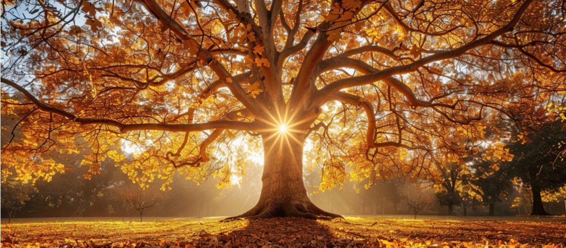 tree